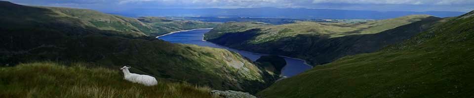 Harter Fell (Mardale)