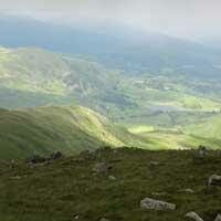 Great Carrs