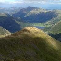 Middle Dodd