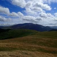 Sale Fell