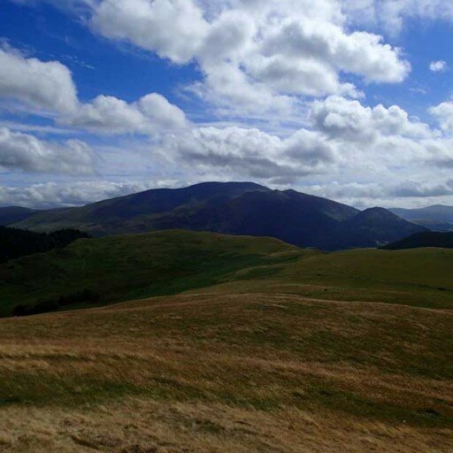 Looking towards Skiddaw from Sale Fell