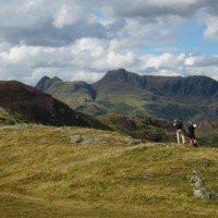 On the Lingmoor Fell risge looking towards the Langdale Pikes