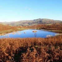 Lilly Tarn: Loughrigg