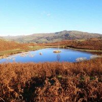 Lilly Tarn: Loughrigg