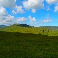 Sallows from near Sour Howes