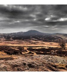 Bleaberry Fell: Friday 27th December 2013