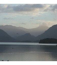 Castle Crag and Borrowdale: Evening Walk