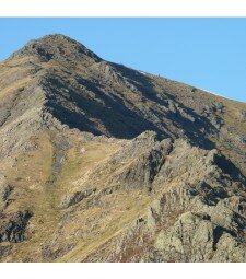 Catbells