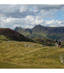 Lingmoor Fell: Thursday 9th May 2013