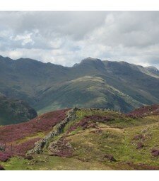 Lingmoor Fell