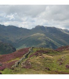 Lingmoor Fell: Wednesday 20th November 2013