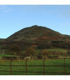 Low Fell & Fellbarrow: Private Guiding