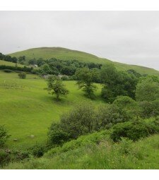 The Wythop Fells: Private Guiding