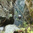 One of the many pools in Church Beck