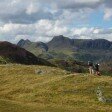 The Langdale Pikes from Lingmoor Fell