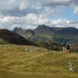 On the Lingmoor Fell risge looking towards the Langdale Pikes