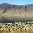 Mellbreak across Crummock Water