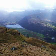 The Martindale Skyline