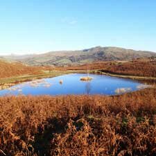 Loughrigg Fell