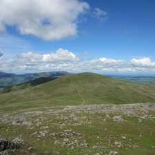 Stybarrow Dodd