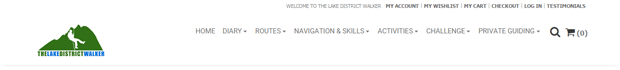 Website navigation menu