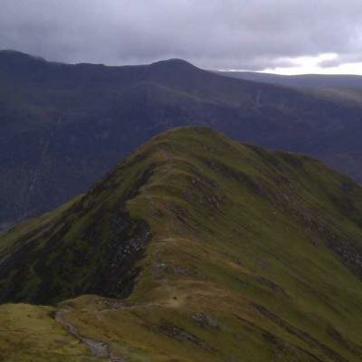 Whiteless Pike