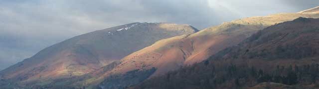 Seat Sandal