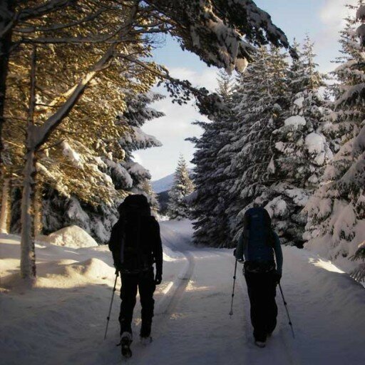 1 Day Scottish Winter Skills Training