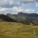 Lingmoor Fell & Side Pike