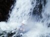 Ghyll Scrambling