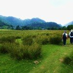 Derwentwater shore & Catbells Terrace 